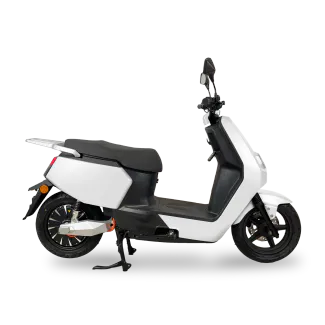 POGO 50