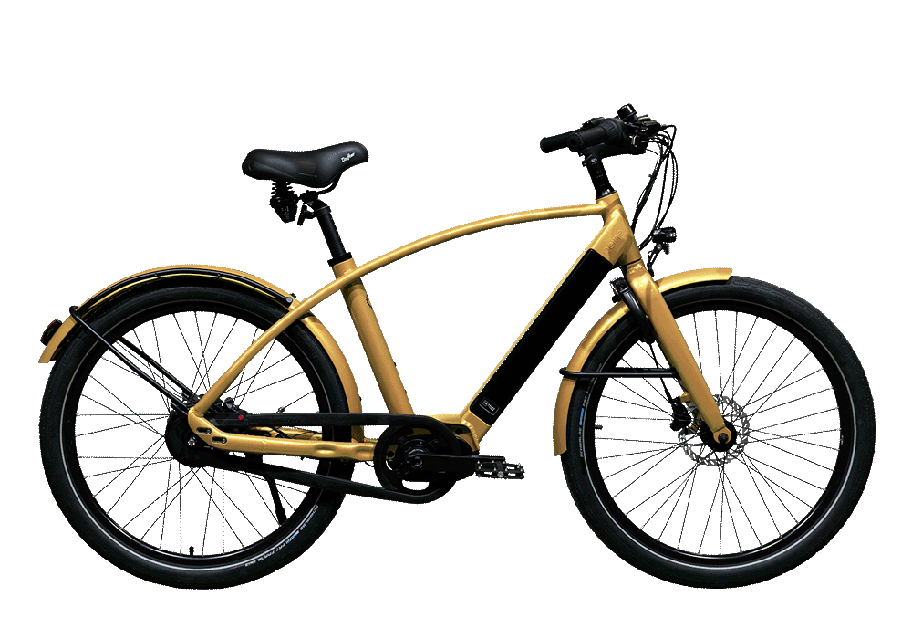 REINE BIKE CADRE HAUT