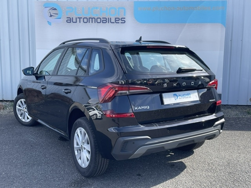 Skoda
                    Kamiq