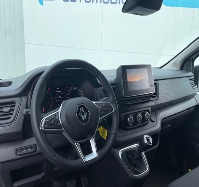 Renault
                Trafic III Fg