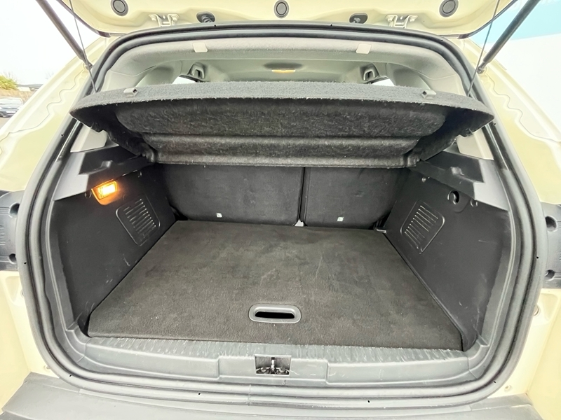 Renault
                Captur